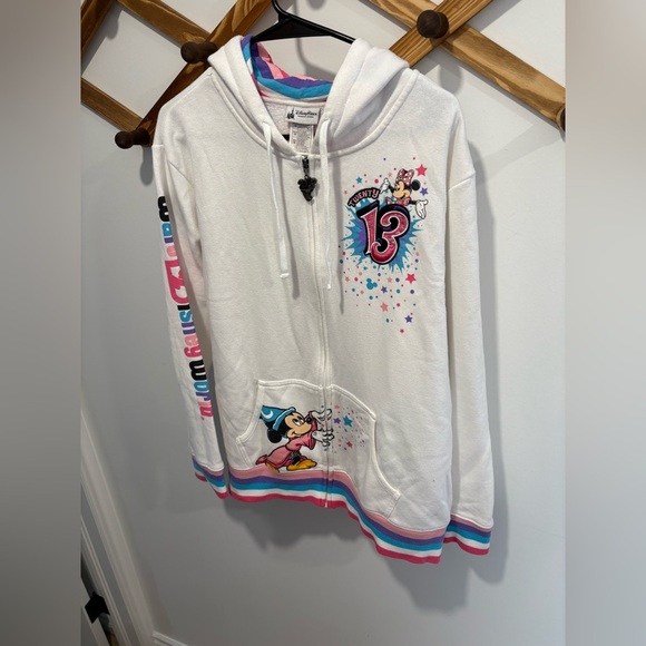EUC- DISNEY PARKS 2013 Zip up Sweater - Picture 4 of 11